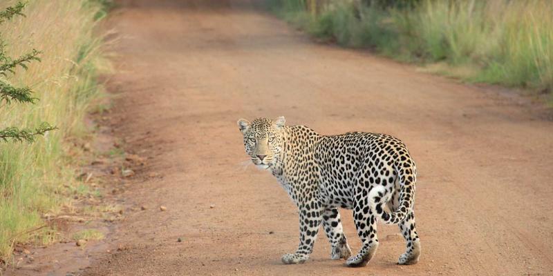 厦门金桥检测100：专业工程质量鉴定，筑牢建筑安全防线