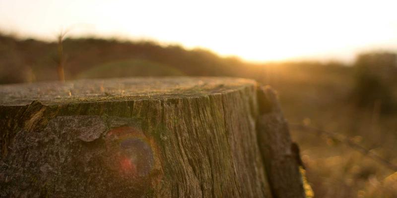 厦门金桥检测29：筑牢建筑安全防线，专业检测护航工程质量