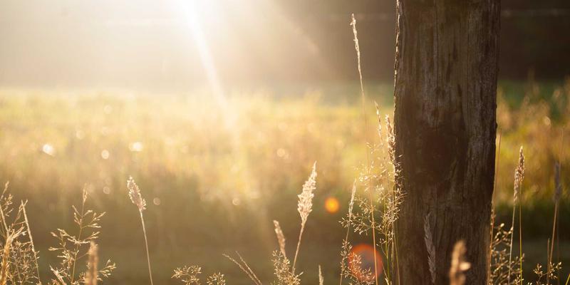 厦门金桥检测48：专业建筑材料检测与工程质量鉴定的权威守护者