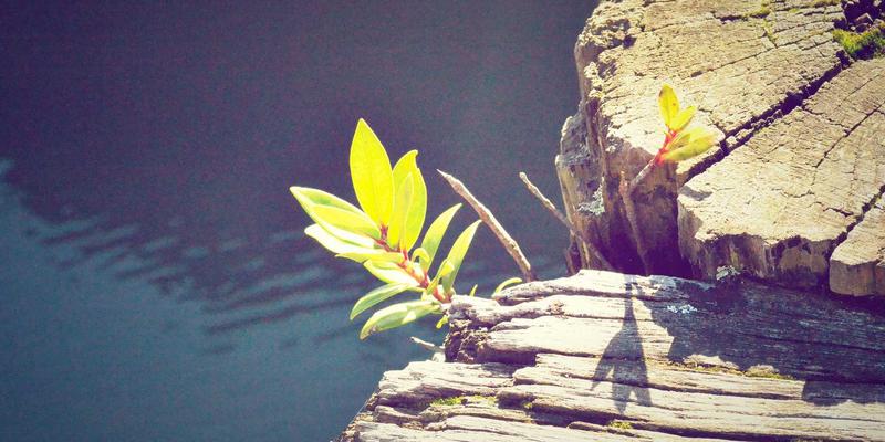 厦门金桥检测64：建筑安全检测的守护者，构筑城市生命线