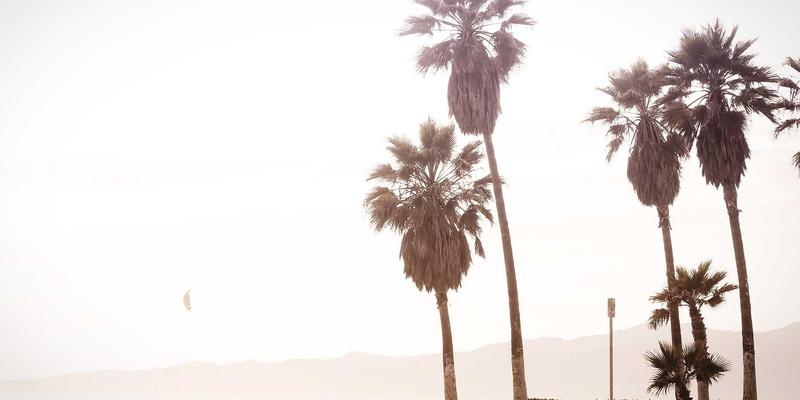 厦门金桥检测79：专业建筑检测，筑牢城市安全生命线