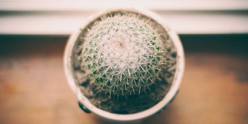 厦门金桥检测81：筑牢建筑安全防线，专业检测护航品质工程