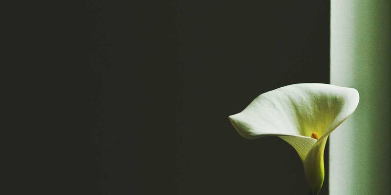 厦门金桥检测83：筑牢建筑安全防线，专业检测护航工程质量