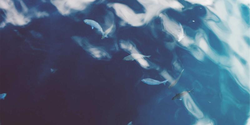 厦门金桥检测97：专业建筑安全与材料检测的权威守护者