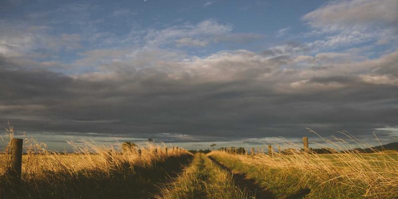 厦门金桥检测：专业解读建筑外墙饰面砖粘结强度检测与空鼓脱落风险预防