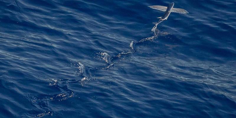 厦门金桥检测：市政道路与桥梁工程定期检测与科学维护方案全解析