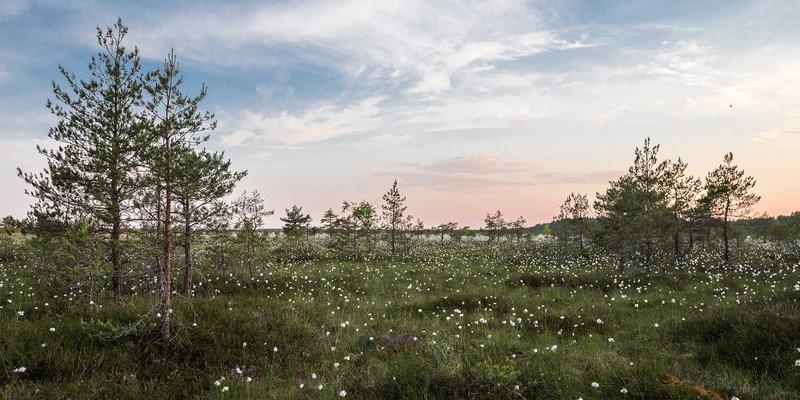 厦门金桥检测：建筑节能材料与围护结构现场检测技术如何保障工程质量