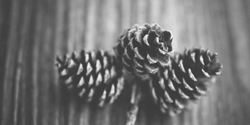 厦门金桥检测服务全解析：工程质量鉴定流程与专业机构选择指南