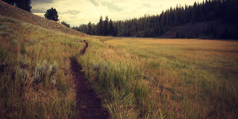 厦门金桥检测：构筑建筑安全防线，守护城市生命线