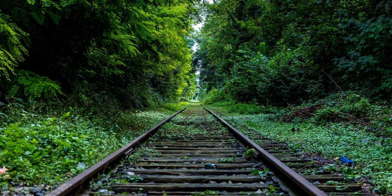 守护健康空间：厦门市建筑室内环境污染物检测标准与方法全解析