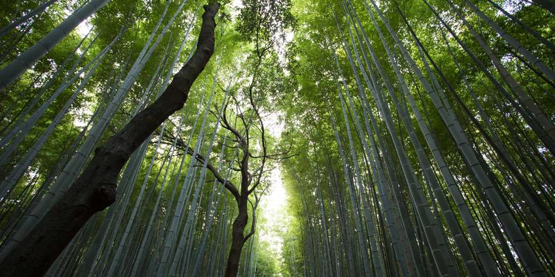 守护城市天际线：厦门幕墙工程安全检测与评估，金桥检测的专业解决方案