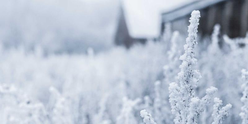建筑幕墙安全性检测全解析：玻璃与石材幕墙评估要点及厦门金桥检测专业实践