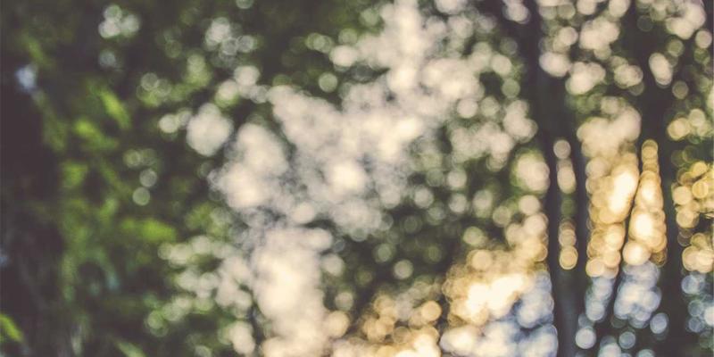 桥梁安全守护者：厦门金桥检测如何通过建筑材料检测保障交通基础设施安全