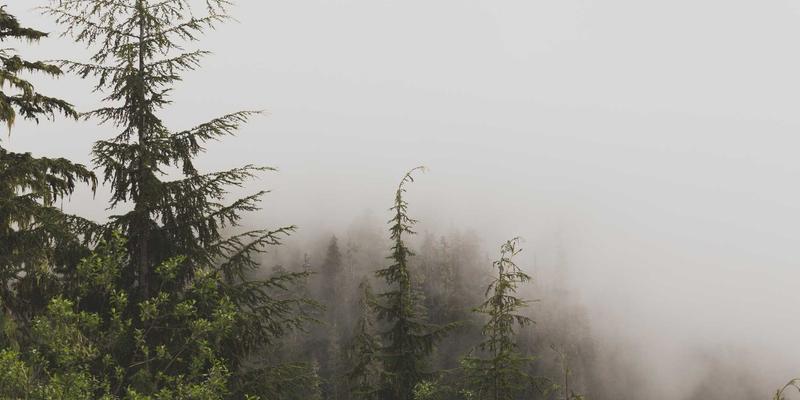 筑牢建筑根基：厦门金桥检测详解地基基础承载力检测的重要性与标准流程